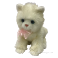 /msite/products/detail/productid/57155592/id/666484.html